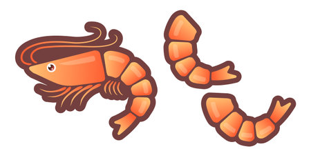 Vector icon of shrimp. Vector illustration of shrimp in flat style.のイラスト素材