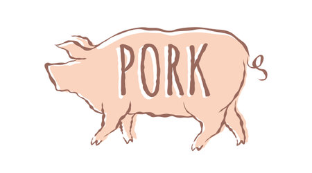 Vector illustration of pig in hand drawing style. Vector icon for food from pork. Pig.のイラスト素材