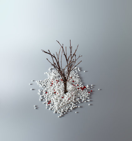 Winters tree in snow. Sunny day concept. Minimal top view composition.の写真素材