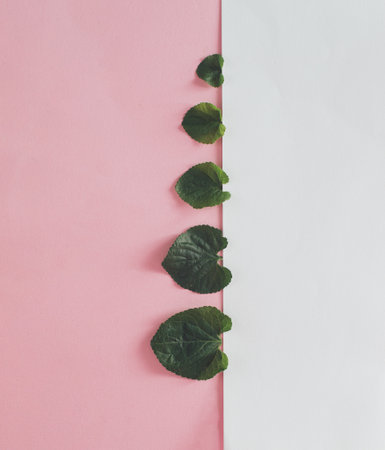 Forest treeline made of green leaves on pink and white background. Minimal nature concept. Flat lay.の写真素材
