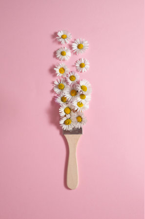 Creative spring concept made with paint brush and white daisy flowers on pastel pink background. Minimal nature flat lay.の写真素材