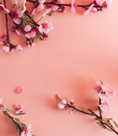 Apple blossom twig with on bright pink background. Flat lay. Copy space.の写真素材