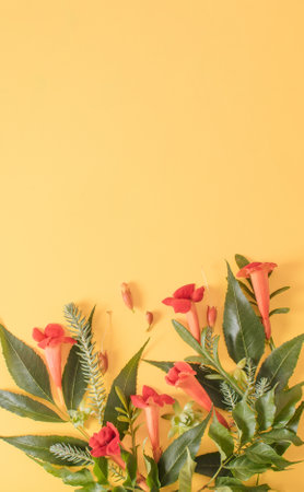 Green leaves and orange flowers on yellow background. Minimal summer concept. Creative flat lay. Copy spaceの写真素材