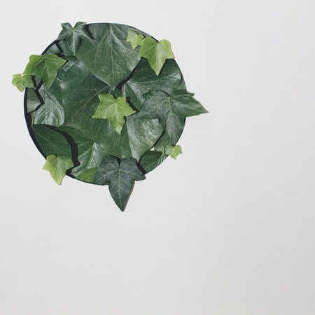 Creative layout made of flowers and leaves with paper card note. Flat lay. Nature conceptの写真素材