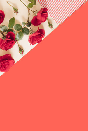 Red roses on red and beige background. Love concept. Flat lay. Copy space. Minimal nature concept.の写真素材