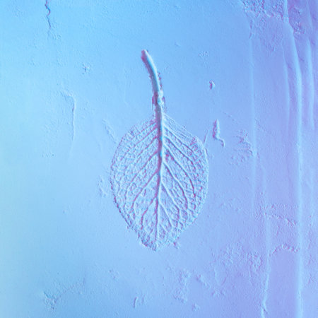 Powder texture with creative leaf impression. Neon blue and violet color lights. Minimal nature...