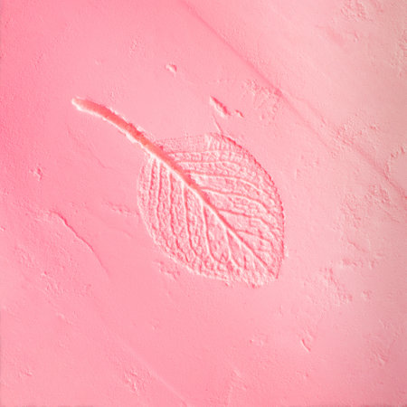 Powder texture with creative leaf impression. Neon pink color lights. Minimal nature concept. Flat layの写真素材