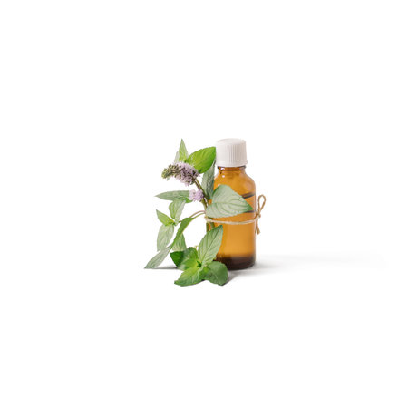 Bottle of peppermint essential oil with mint leaves  on a white background. Natural relaxsation concept.の写真素材