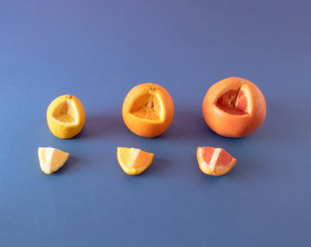 Lemon, orange and red grapefruit on dark blue background. Minimal flat lay concept.の写真素材