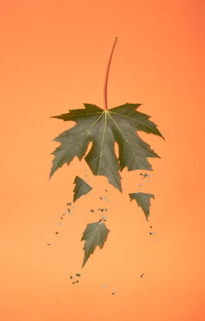 Creative nettle leaf layout with green powder. Minimal natural autumn concept. Flat layの写真素材