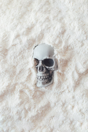 Skull in powder background. Creative Halloween minimal concept.の写真素材