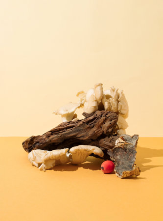 Oyster mushroom on a piece of wood. Nature healthy food concept