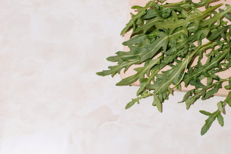 Pattern of arugula leaves on a marble background with copy space. Healthy food concept. Flat lay.