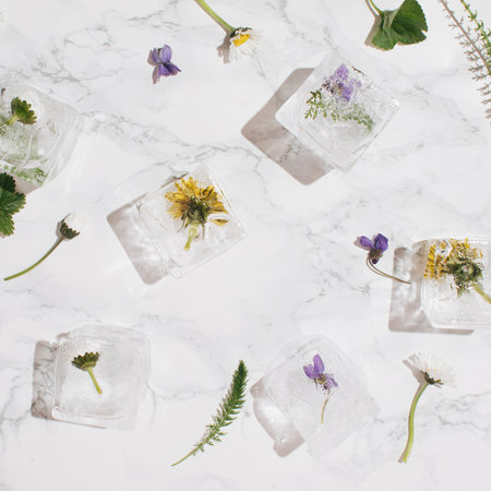 Ice cubes with spring flowers layout on marble background.の写真素材