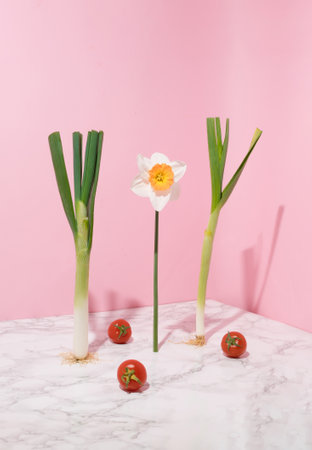 Spring onion, garlic, cherry tomatoes and flower standing on a kitchen table on pastel pink and marble background. Still lifeの写真素材