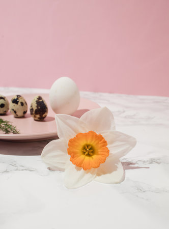 Chicken egg, quail eggs and narcissus on pink plate on kitchen marble background. Healthy raw food conceptの写真素材
