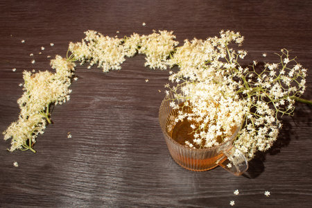 Cup of tea European elderberry, raw and dry flower od the table. The concept of natural healing. Flat layの写真素材