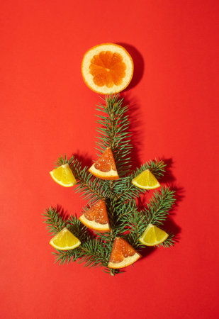 Minimalist Christmas tree made of evergreen plant and pieces of citrus on red background. New Year concept. Flat lay.の写真素材