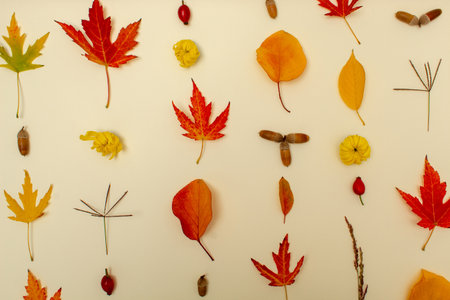 Creative autumn layout made with yellow fallen laeves and nuts. Minimal flat lay. Nature concept.