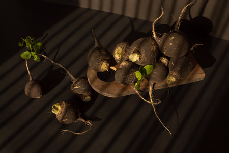 Black radishes on the table on black background. Still lifeの写真素材