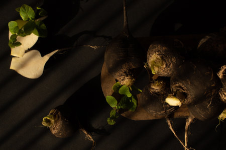 Black radishes on the table on black background. Still lifeの写真素材
