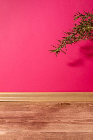 Pink wall in the room with wooden floor and green flowers. Enterior. Copy spaceの写真素材