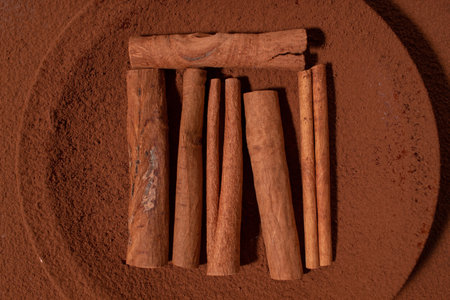 Cinnamon sticks on a cocoa powder background. Creative idea for spicesの写真素材