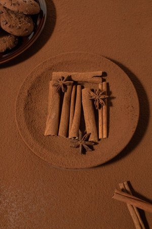 Cinnamon sticks and star anise on a cocoa powder background. Creative idea for spicesの写真素材