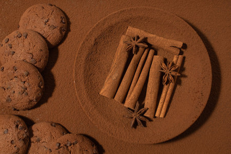 Cinnamon sticks and star anise on a cocoa powder background. Creative idea for spicesの写真素材