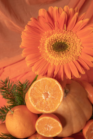 Orange still life made of fruit and flower.の写真素材