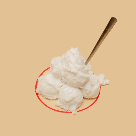 White scoops of ice cream in a red line bowl with a spoon.の写真素材