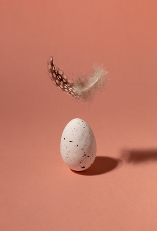 Quail egg with feather. Happy Easter concept. Minimalist composition