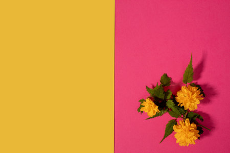Creative composition of orange flowers and pink background. Flowerscape flat lay.の写真素材
