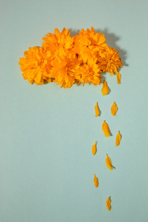Orange cloud and rain made with daisy flowers and petals. Minimal nature or woman's day concept. Creative background.の写真素材