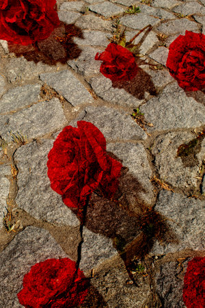 Abstract picture made of red flowers stone background. Creative concept composition with copy space.の写真素材