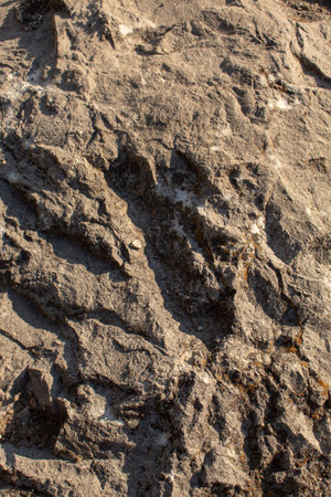 Dark rock close-up in daylight. Textured background