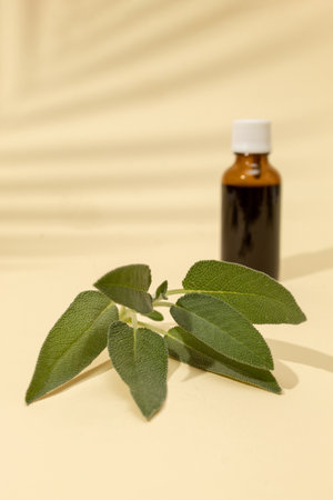 Bottle of essential oil with fresh sage on a beige background. Nature medical concept.の写真素材