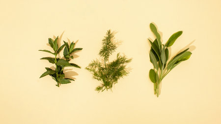 Fresh peppermint, dill and sage on a beige background. Natural medical conceptの写真素材