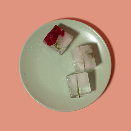 Creative arrangement of pink flower in ice cubes on the plate. Sunny day concept. Copy spaceの写真素材