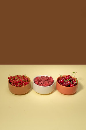 Red fruits of currants, raspberries and cherries in bowls. Health concept. Copy spaceの写真素材