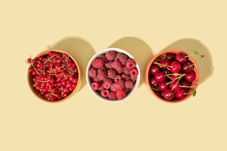 Red fruits of currants, raspberries and cherries in bowls. Health concept. Copy spaceの写真素材