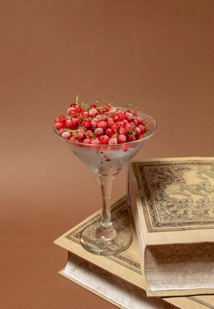 Frozen red currants in cocktail glass, books and brown background.の写真素材