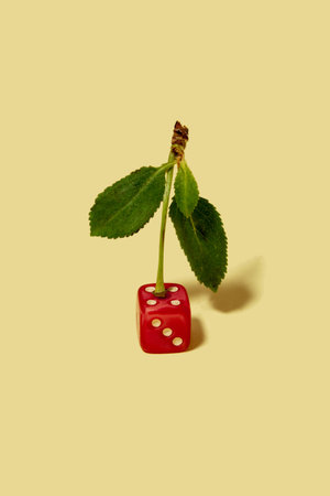 Chery made of gambling dice on beige background. Funky fruits for gambling isolated in studio.の写真素材