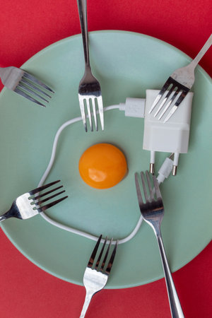 Egg made of raw yolk and white cable, forks on a plate with a red background. Flat lay.の写真素材