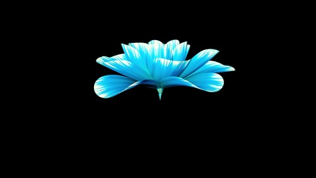 blooming flower illustration isolated on background new quality beautiful holiday natural floral cool nice 4k stock imageの写真素材