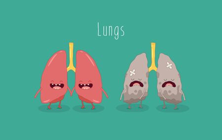 internal organs. Vector illustrations.のイラスト素材