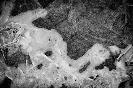 Ice Seaの写真素材