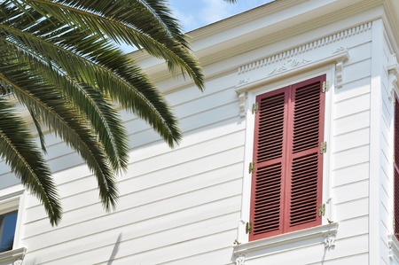 Red shuttered house and palm treeの写真素材