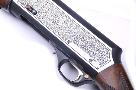 My detailed images of shotgun