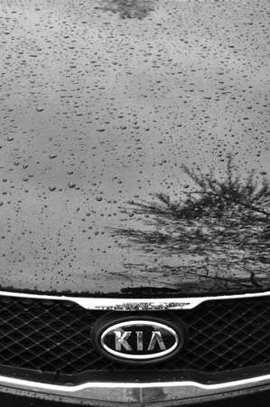 Kia logo on a wet black carのeditorial素材